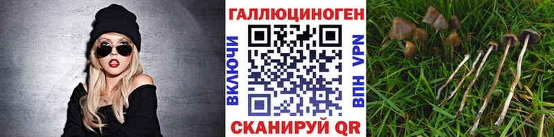 Купить где  Ярославль  Галлюциногенные грибы мицелий 